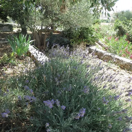 Lägenhet Garden Seget Vranjica